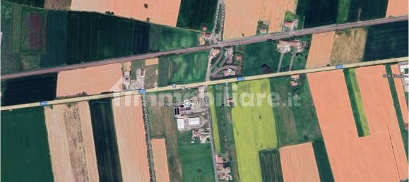 22 bedrooms Apartment in Alessandria, Italy No. 209432 6