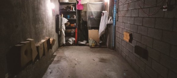 Studio in Trieste, Italy, Nr. 2006 8