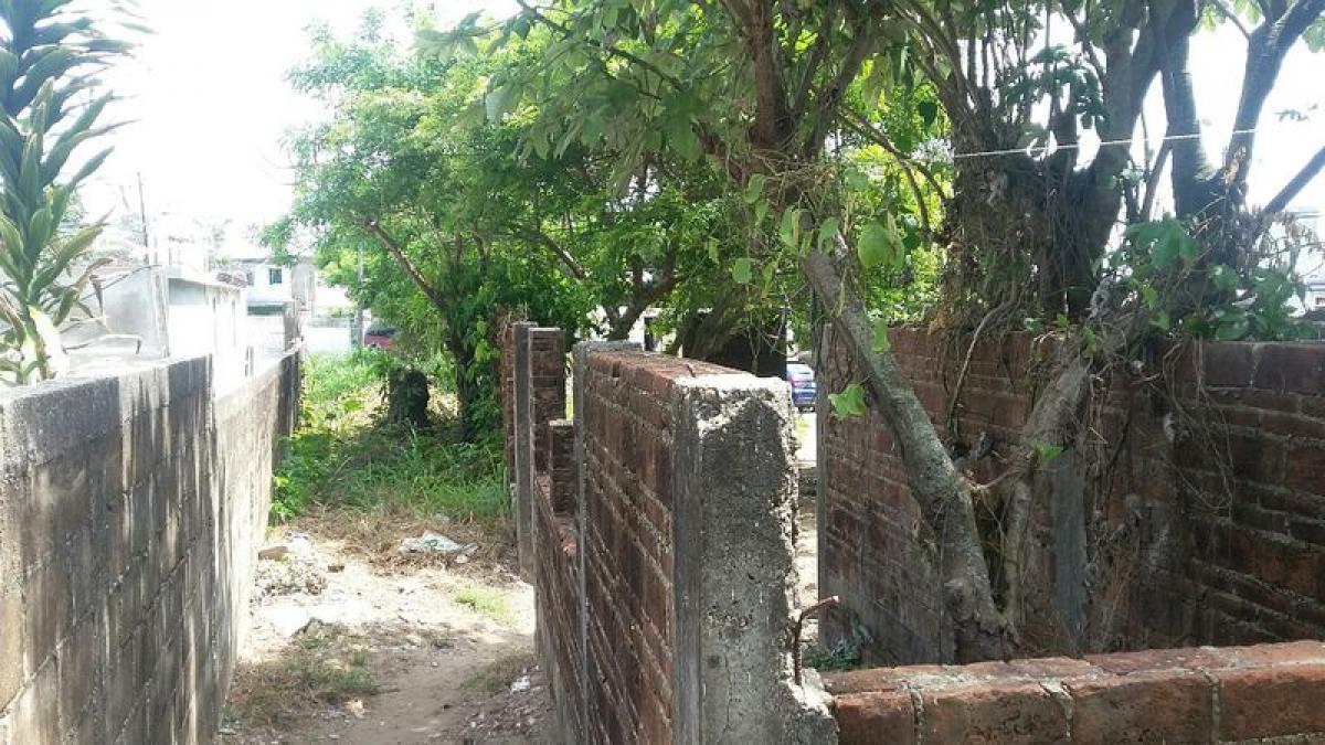 Terrain à Veracruz, Mexico No. 202978