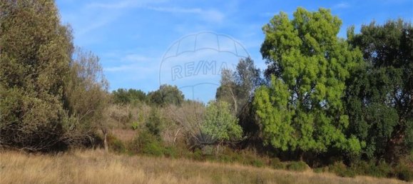 Grundstück in Castelo Branco, Portugal 107004m², Nr. 82820 13