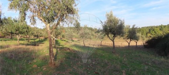 Grundstück in Castelo Branco, Portugal 107004m², Nr. 82820 35