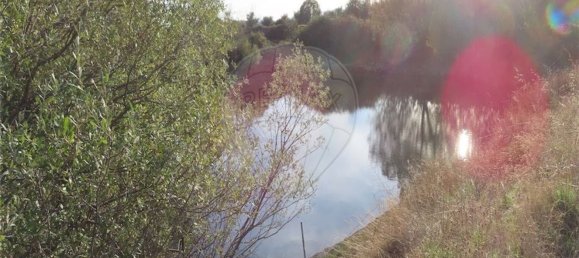 Grundstück in Castelo Branco, Portugal 107004m², Nr. 82820 31