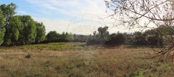 Grundstück in Castelo Branco, Portugal 107004m², Nr. 82820 14