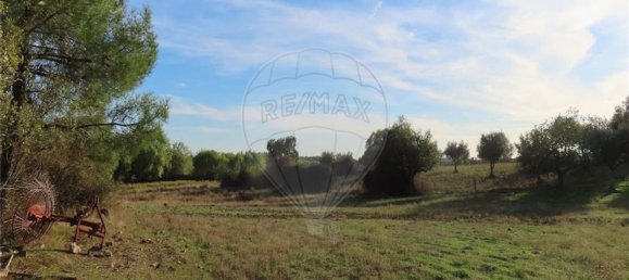 Grundstück in Castelo Branco, Portugal 107004m², Nr. 82820 11