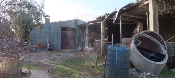 Grundstück in Castelo Branco, Portugal 107004m², Nr. 82820 9