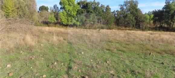 Grundstück in Castelo Branco, Portugal 107004m², Nr. 82820 12