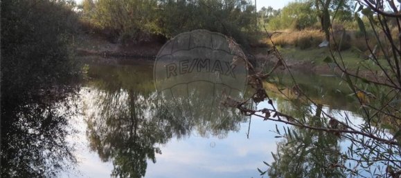 Grundstück in Castelo Branco, Portugal 107004m², Nr. 82820 30