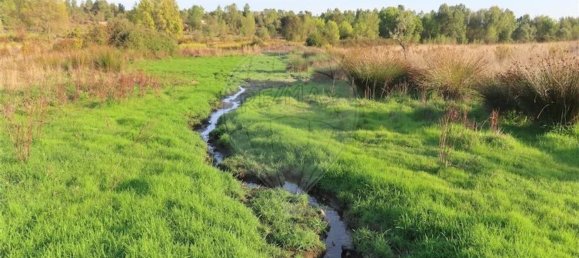 Grundstück in Castelo Branco, Portugal 107004m², Nr. 82820 25