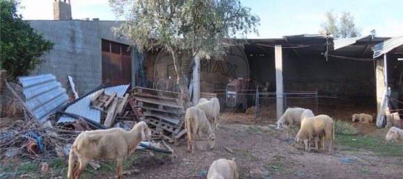 Grundstück in Castelo Branco, Portugal 107004m², Nr. 82820 34