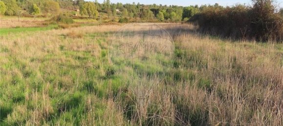 Grundstück in Castelo Branco, Portugal 107004m², Nr. 82820 27