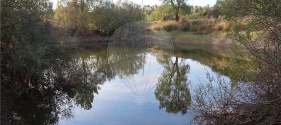 Grundstück in Castelo Branco, Portugal 107004m², Nr. 82820 38