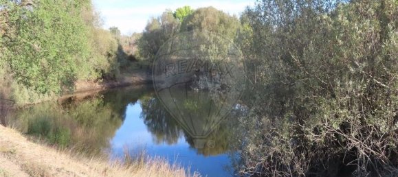 Grundstück in Castelo Branco, Portugal 107004m², Nr. 82820 32