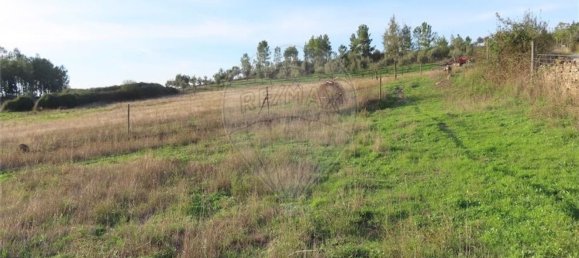 Grundstück in Castelo Branco, Portugal 107004m², Nr. 82820 22