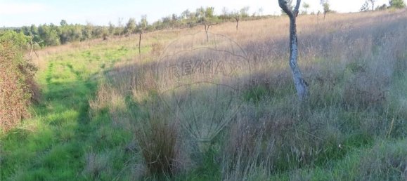 Grundstück in Castelo Branco, Portugal 107004m², Nr. 82820 33