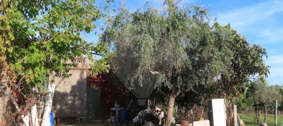 Grundstück in Castelo Branco, Portugal 107004m², Nr. 82820 28