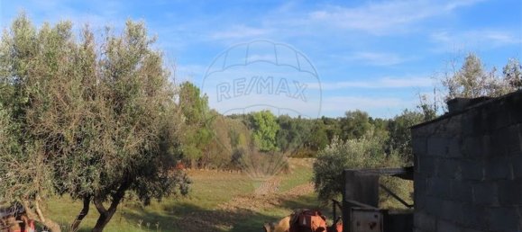 Grundstück in Castelo Branco, Portugal 107004m², Nr. 82820 8