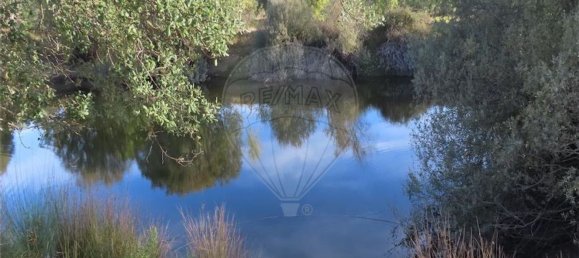 Grundstück in Castelo Branco, Portugal 107004m², Nr. 82820 2