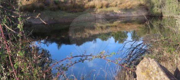 Grundstück in Castelo Branco, Portugal 107004m², Nr. 82820 29