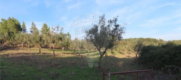 Grundstück in Castelo Branco, Portugal 107004m², Nr. 82820 4