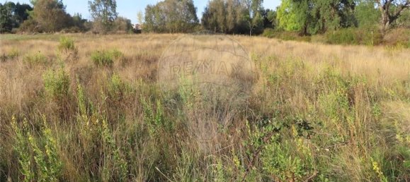 Grundstück in Castelo Branco, Portugal 107004m², Nr. 82820 18