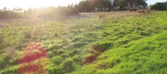 Grundstück in Castelo Branco, Portugal 107004m², Nr. 82820 3