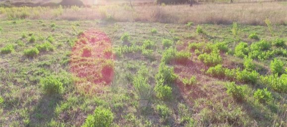 Grundstück in Castelo Branco, Portugal 107004m², Nr. 82820 24