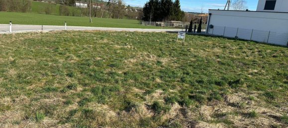  Land in Hohenzell, Austria No. 91463 2