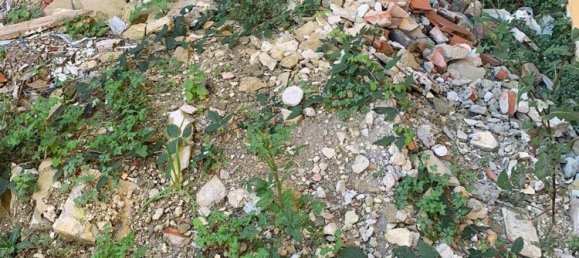 Вилла с 6 комнатами в Пиза, Италия № 155545 3