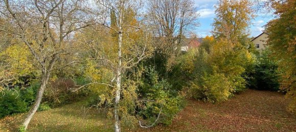 Квартира с 2 комнатами в Бонн, Германия № 42272 3