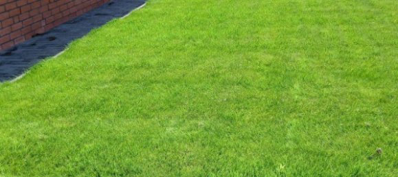 3 غرف نوم منزل في Gifhorn, Germany رقم 293233 2