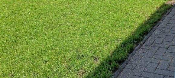 3 غرف نوم منزل في Gifhorn, Germany رقم 293233 4