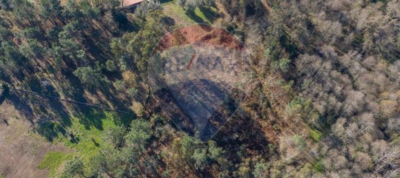 3200m² Land in Ponte de Lima, Portugal No. 42851 2