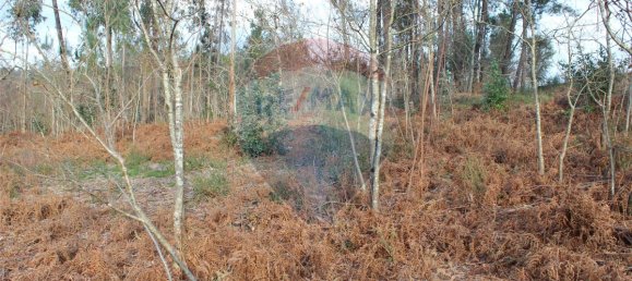 3200m² Land in Ponte de Lima, Portugal No. 42851 10