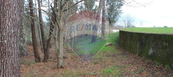 3200m² Land in Ponte de Lima, Portugal No. 42851 7