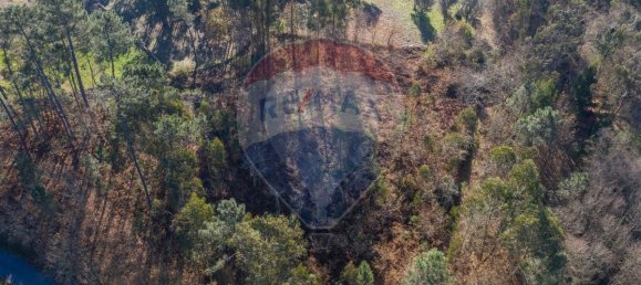 3200m² Land in Ponte de Lima, Portugal No. 42851 5