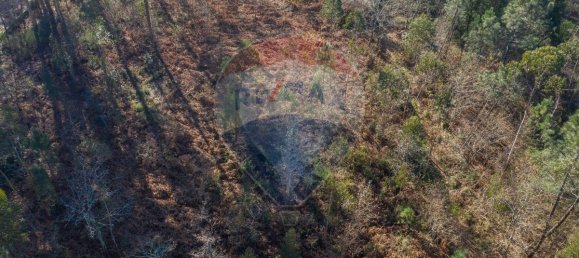 3200m² Land in Ponte de Lima, Portugal No. 42851 6