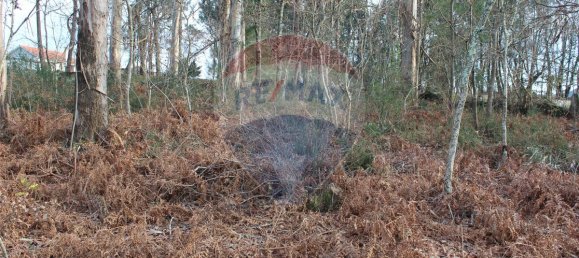 3200m² Land in Ponte de Lima, Portugal No. 42851 9