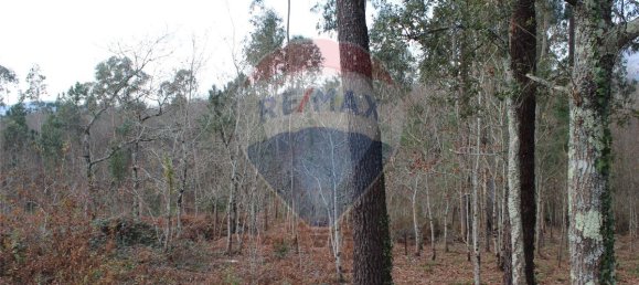 3200m² Land in Ponte de Lima, Portugal No. 42851 8