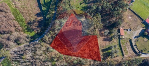 3200m² Land in Ponte de Lima, Portugal No. 42851 11