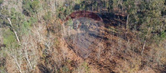 3200m² Land in Ponte de Lima, Portugal No. 42851 4