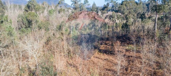 3200m² Land in Ponte de Lima, Portugal No. 42851 3