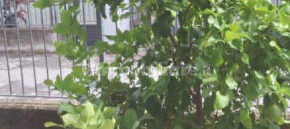 2 chambres Maison à Mozzanica, Italy No. 273297 14