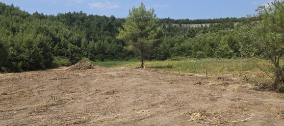  فندق في Chalkidiki, Greece 4100متر مربع رقم 52556 3