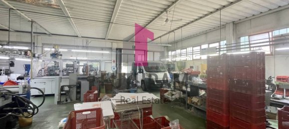 3 rooms Warehouse in Vigonovo, Italy No. 281482 17