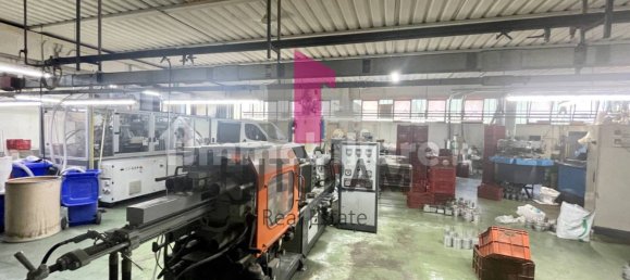 3 rooms Warehouse in Vigonovo, Italy No. 281482 19