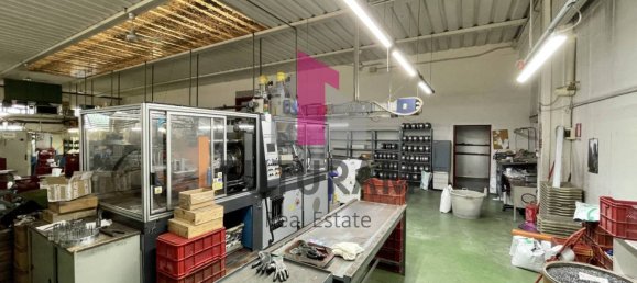 3 rooms Warehouse in Vigonovo, Italy No. 281482 4