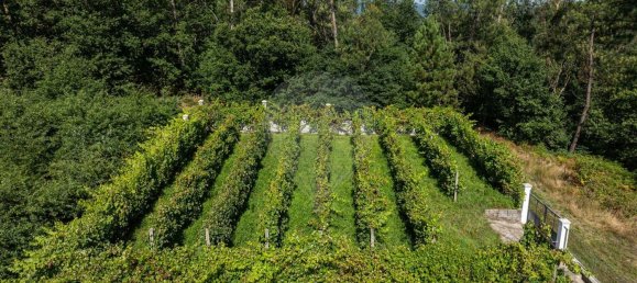 Casa T6 em Amares, Portugal N.º 169971 43