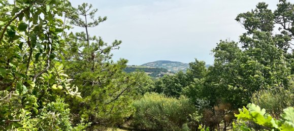 10غرفة منزل في Tavoleto, Italy رقم 229658 13