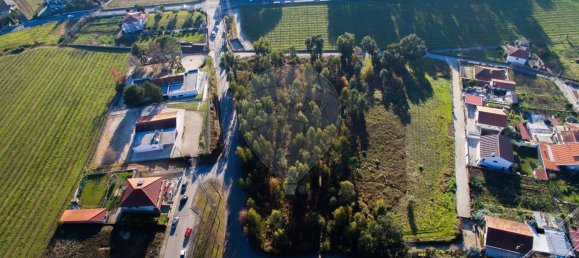 Grundstück in Felgueiras, Portugal 8580m², Nr. 47630 4