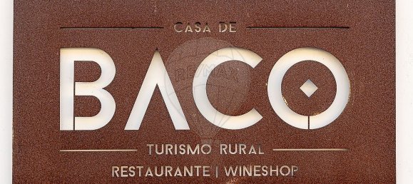 9 bedrooms House in Igrejinha, Portugal No. 178300 4